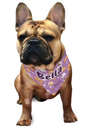 Animal Scarf Pet Adjustable Bandanas for Dogs Cats