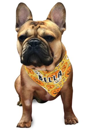 Animal Scarf Pet Adjustable Bandanas for Dogs Cats