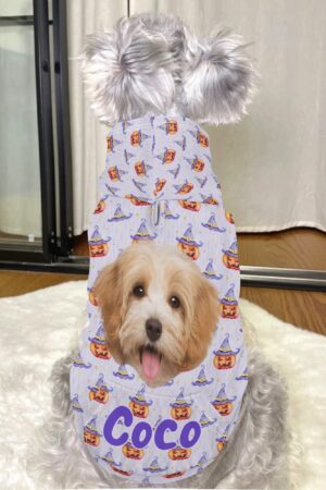 Animal Clothes 4 Legs Outfit Pet Pullover Hoodie