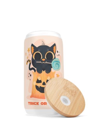 Frosted 16oz Glass Cups with Bamboo Lid Beer Can Tumbler