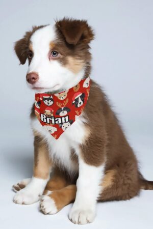 Animal Scarf Pet Adjustable Bandanas for Dogs Cats