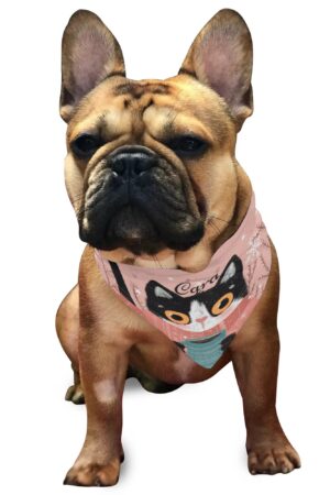 Animal Scarf Pet Adjustable Bandanas for Dogs Cats
