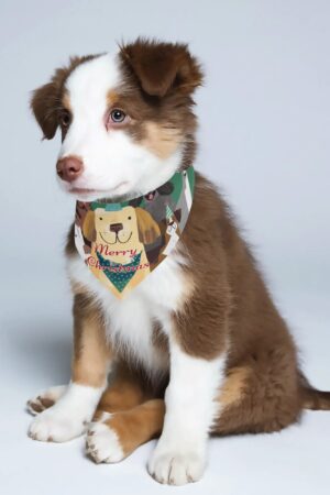 Animal Scarf Pet Adjustable Bandanas for Dogs Cats