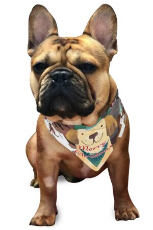 Animal Scarf Pet Adjustable Bandanas for Dogs Cats