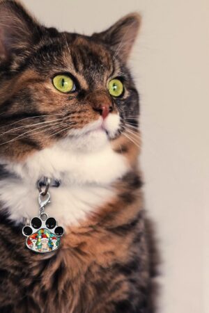 Decor Cat Dog Paw Jewelry Pet Collar Pendants