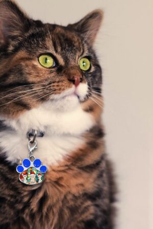 Decor Cat Dog Paw Jewelry Pet Collar Pendants