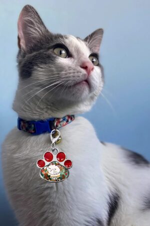 Decor Cat Dog Paw Jewelry Pet Collar Pendants