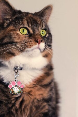 Decor Cat Dog Paw Jewelry Pet Collar Pendants