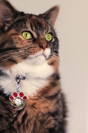 Decor Cat Dog Paw Jewelry Pet Collar Pendants