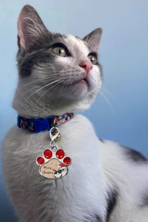 Decor Cat Dog Paw Jewelry Pet Collar Pendants