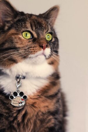 Decor Cat Dog Paw Jewelry Pet Collar Pendants