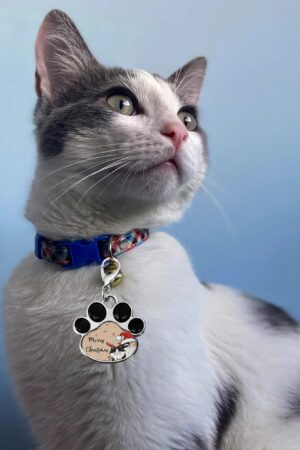 Decor Cat Dog Paw Jewelry Pet Collar Pendants