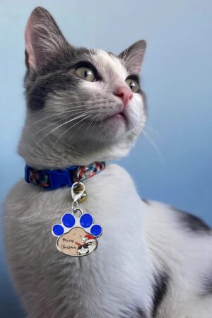 Decor Cat Dog Paw Jewelry Pet Collar Pendants