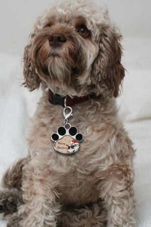 Decor Cat Dog Paw Jewelry Pet Collar Pendants