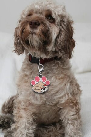 Decor Cat Dog Paw Jewelry Pet Collar Pendants