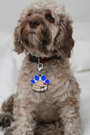 Decor Cat Dog Paw Jewelry Pet Collar Pendants