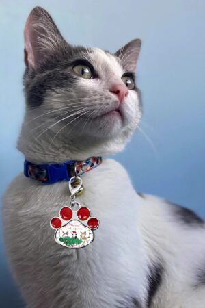 Decor Cat Dog Paw Jewelry Pet Collar Pendants