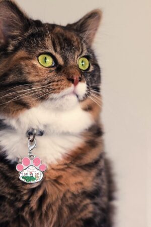 Decor Cat Dog Paw Jewelry Pet Collar Pendants