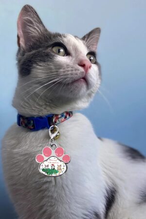 Decor Cat Dog Paw Jewelry Pet Collar Pendants