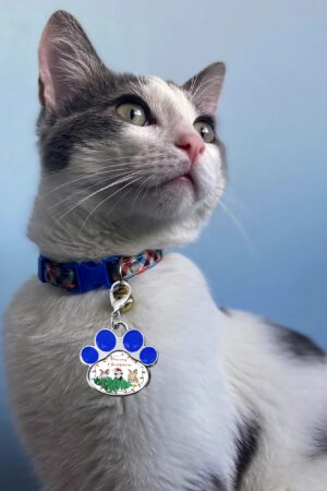 Decor Cat Dog Paw Jewelry Pet Collar Pendants
