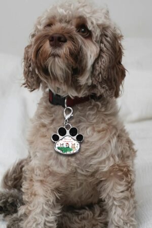 Decor Cat Dog Paw Jewelry Pet Collar Pendants