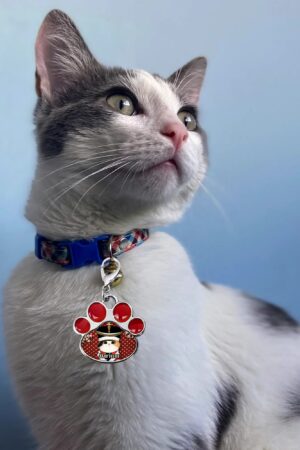 Decor Cat Dog Paw Jewelry Pet Collar Pendants