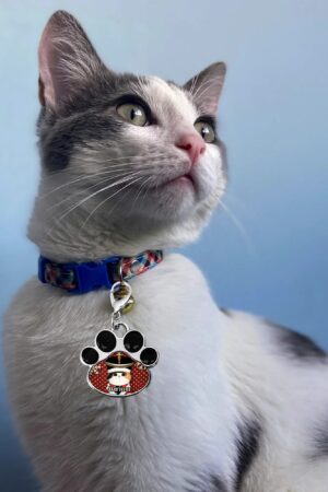 Decor Cat Dog Paw Jewelry Pet Collar Pendants