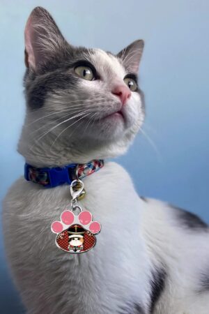 Decor Cat Dog Paw Jewelry Pet Collar Pendants