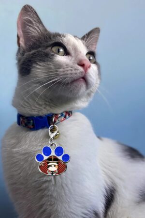 Decor Cat Dog Paw Jewelry Pet Collar Pendants