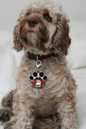 Decor Cat Dog Paw Jewelry Pet Collar Pendants