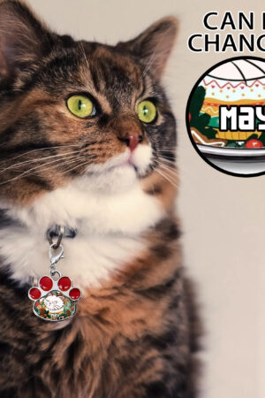 Decor Cat Dog Paw Jewelry Pet Collar Pendants