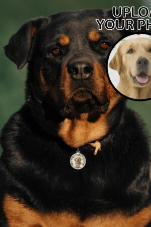 Personalized  Laser Metal Alloy Dog ID Tag