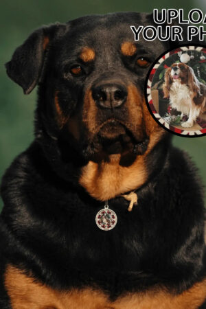 Personalized  Laser Metal Alloy Dog ID Tag