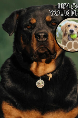 Personalized  Laser Metal Alloy Dog ID Tag
