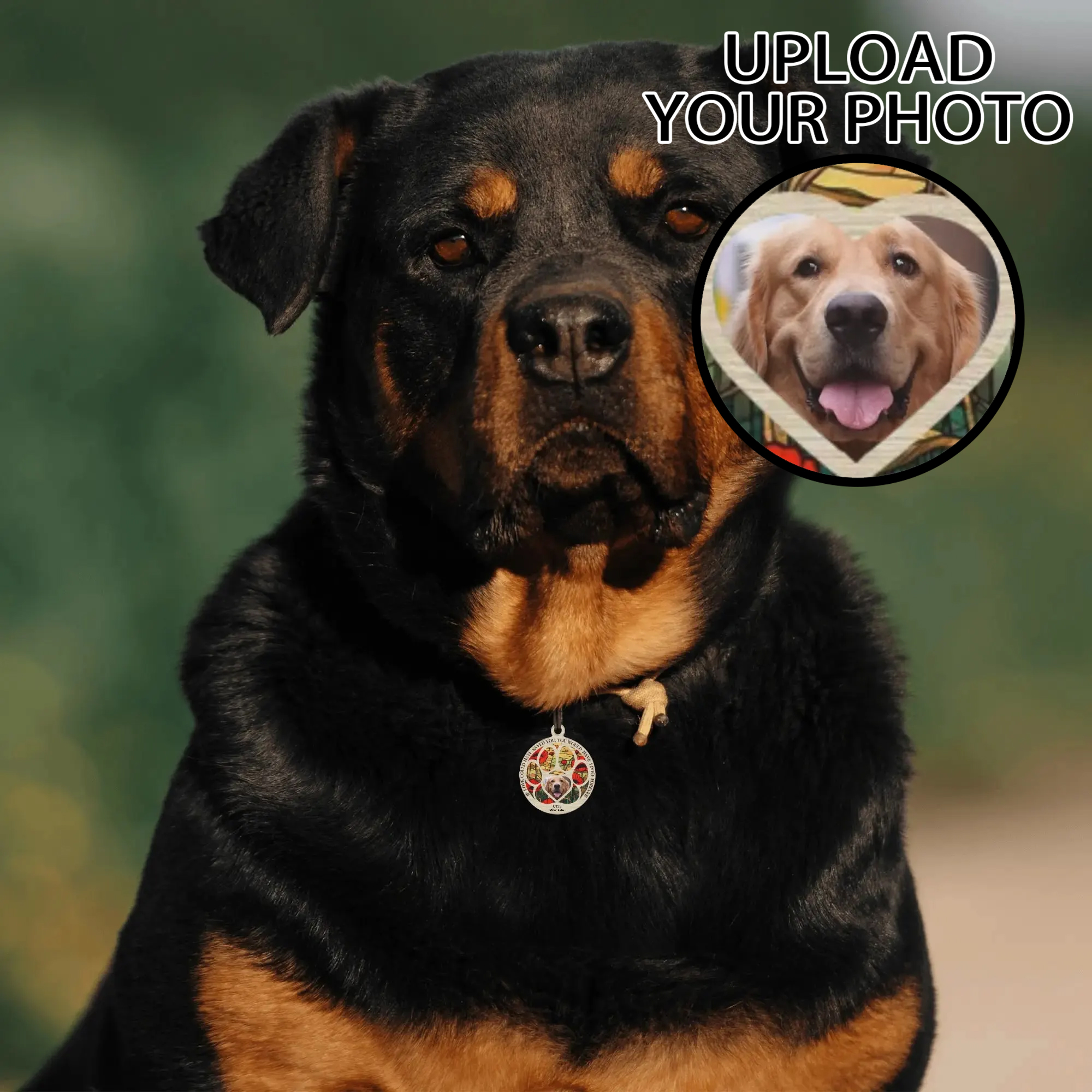 Personalized Laser Metal Alloy Dog ID Tag